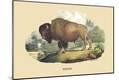 Premium Giclee Print