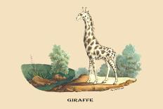 Giraffe-E.f. Noel-Art Print
