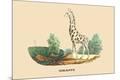 Premium Giclee Print