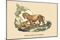 Premium Giclee Print