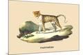 Premium Giclee Print