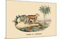 Premium Giclee Print
