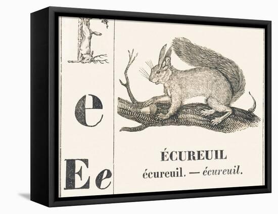 E for Squirrel, 1850 (Engraving)-Louis Simon (1810-1870) Lassalle-Framed Premier Image Canvas