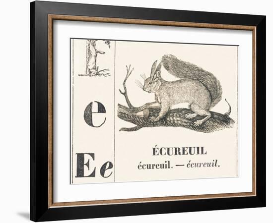 E for Squirrel, 1850 (Engraving)-Louis Simon (1810-1870) Lassalle-Framed Giclee Print
