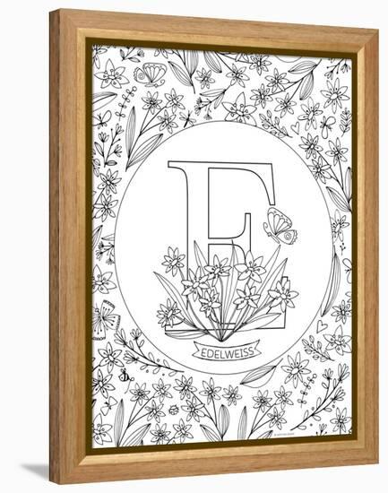 E is for Edelweiss-Heather Rosas-Framed Stretched Canvas