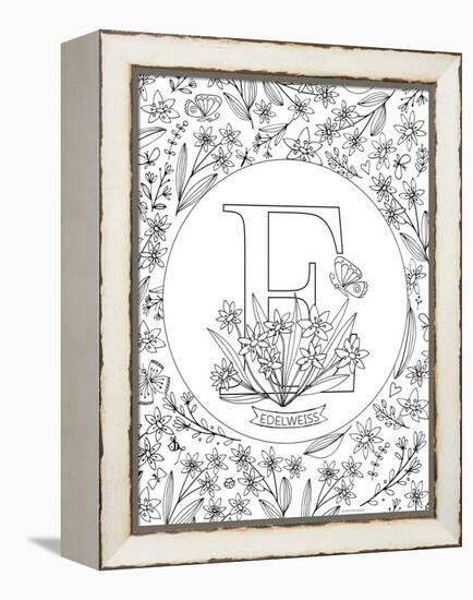 E is for Edelweiss-Heather Rosas-Framed Stretched Canvas