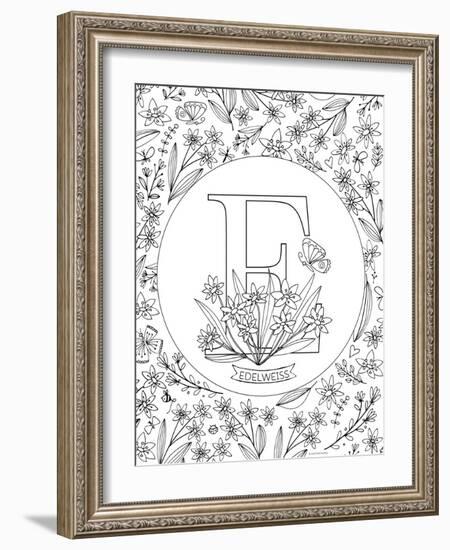 E is for Edelweiss-Heather Rosas-Framed Art Print