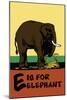 E is for Elephant-Charles Buckles Falls-Mounted Art Print