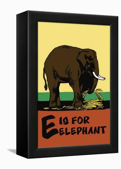 E is for Elephant-Charles Buckles Falls-Framed Stretched Canvas