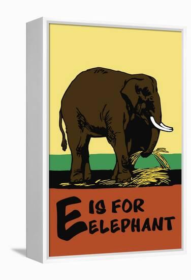 E is for Elephant-Charles Buckles Falls-Framed Stretched Canvas