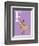 E is for Elk (purple)-Theodor (Dr. Seuss) Geisel-Framed Art Print