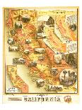 Unique Map of California 1885-E^ McD^ Johnstone-Art Print