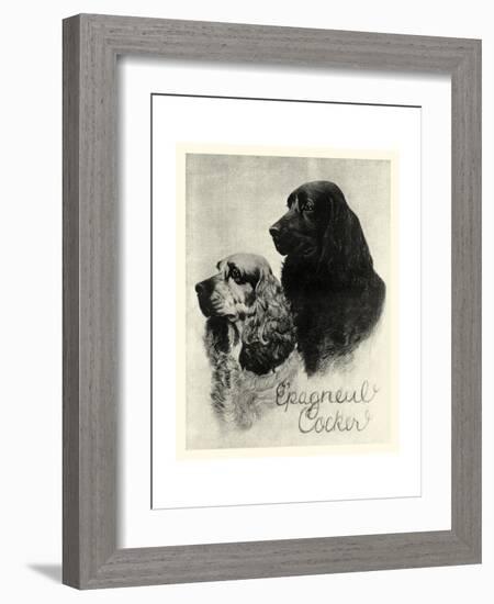 E'pagneul Cocker-Vision Studio-Framed Art Print