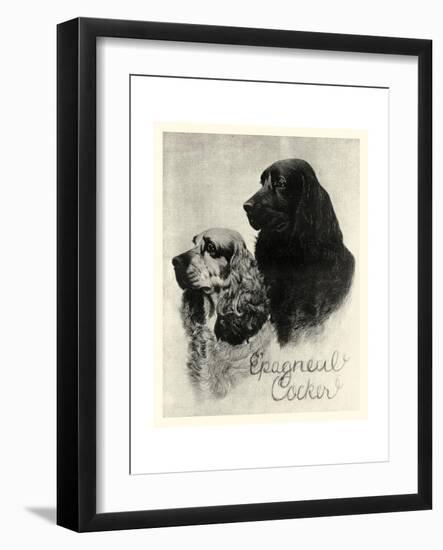 E'pagneul Cocker-Vision Studio-Framed Art Print