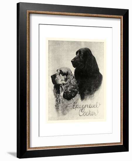 E'pagneul Cocker-Vision Studio-Framed Art Print