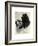 E'pagneul Cocker-Vision Studio-Framed Art Print