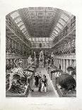 Animal Skeletons at the Hunterian Museum, Lincoln's Inn Fields, Holborn, London, C1820-E Radclyffe-Giclee Print