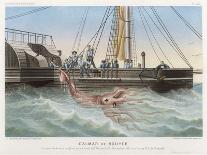 The Giant Squid Caught by the Alecton off the Coast of Tenerife, 30th November 1861-E. Rodolphe-Framed Premier Image Canvas