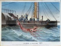 The Giant Squid Caught by the Alecton off the Coast of Tenerife, 30th November 1861-E. Rodolphe-Framed Premier Image Canvas