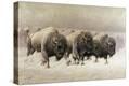 Stretched Canvas Print