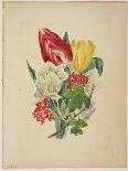 Bouquet of Trumpet Vine, from Flora's Dictionary, 1838-E. W. Wirt-Giclee Print