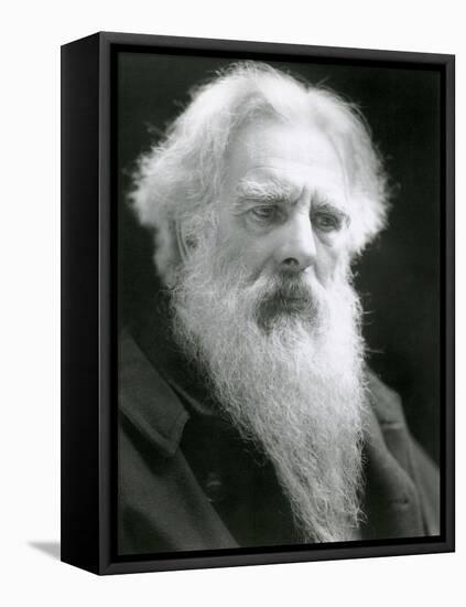 Eadweard Muybridge, English Photographer-Science Source-Framed Premier Image Canvas