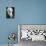 Eadweard Muybridge, English Photographer-Science Source-Giclee Print displayed on a wall