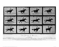Image Sequence of Running Greyhounds, 'Animal Locomotion' Series, C.1881-Eadweard Muybridge-Giclee Print