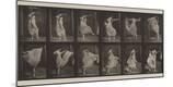 Photographic Print