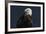 Eagle Ahead-Staffan Widstrand-Framed Giclee Print