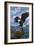 Eagle and Chicks - La Conner, Washington-Lantern Press-Framed Art Print