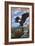 Eagle and Chicks - Wyoming-Lantern Press-Framed Art Print