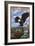 Eagle and Chicks - Wyoming-Lantern Press-Framed Art Print