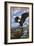 Eagle and Chicks - Wyoming-Lantern Press-Framed Art Print
