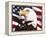 Eagle and Flag-William Vanderdasson-Framed Premier Image Canvas