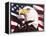 Eagle and Flag-William Vanderdasson-Framed Premier Image Canvas