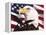 Eagle and Flag-William Vanderdasson-Framed Premier Image Canvas