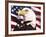 Eagle and Flag-William Vanderdasson-Framed Giclee Print