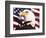 Eagle and Flag-William Vanderdasson-Framed Giclee Print