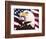 Eagle and Flag-William Vanderdasson-Framed Giclee Print