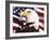 Eagle and Flag-William Vanderdasson-Framed Giclee Print