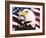 Eagle and Flag-William Vanderdasson-Framed Giclee Print