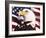 Eagle and Flag-William Vanderdasson-Framed Giclee Print