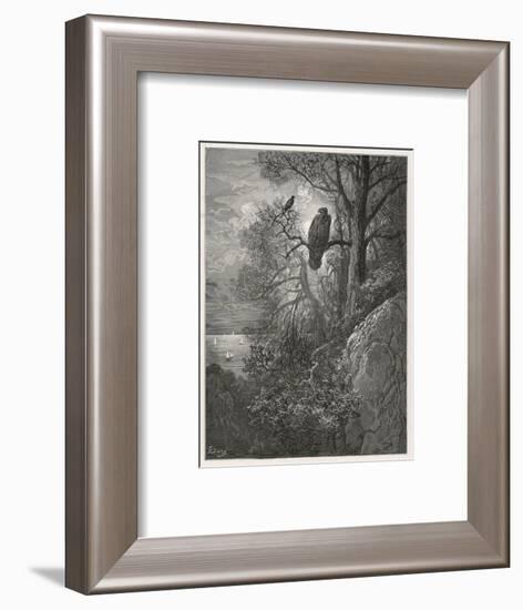 Eagle and Magpie-null-Framed Art Print