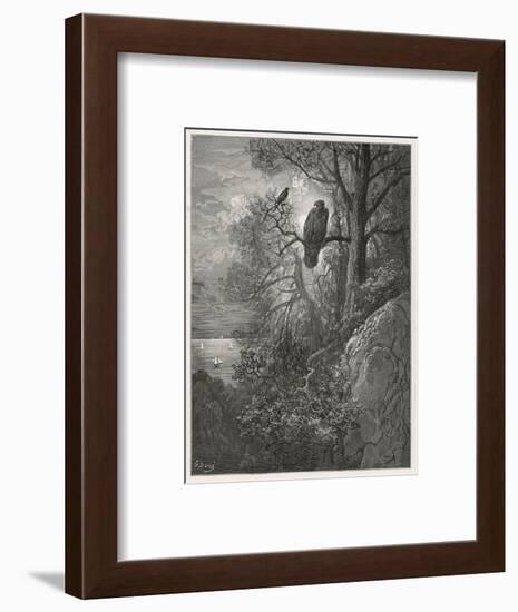 Eagle and Magpie-null-Framed Art Print