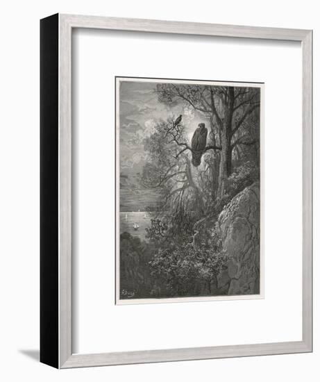 Eagle and Magpie-null-Framed Art Print