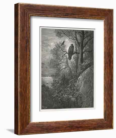 Eagle and Magpie-null-Framed Art Print