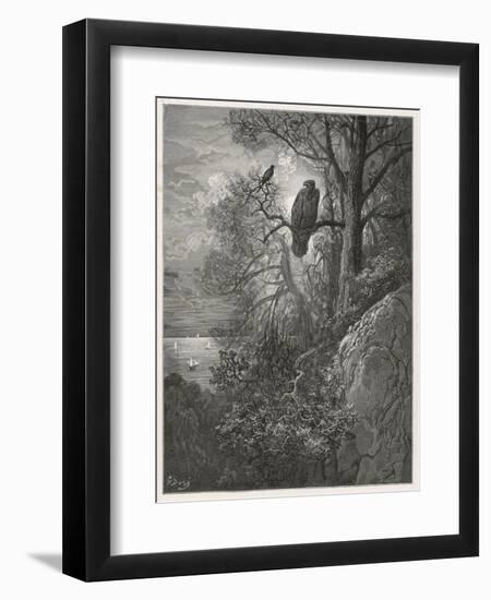 Eagle and Magpie-null-Framed Art Print