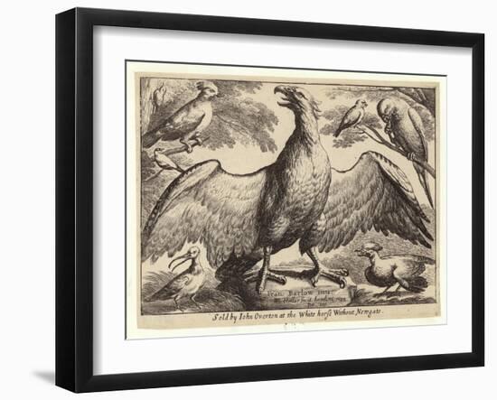 Eagle and Other Birds-Wenceslaus Hollar-Framed Giclee Print