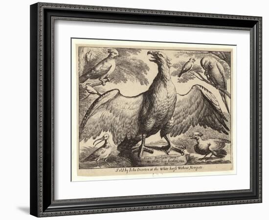 Eagle and Other Birds-Wenceslaus Hollar-Framed Giclee Print